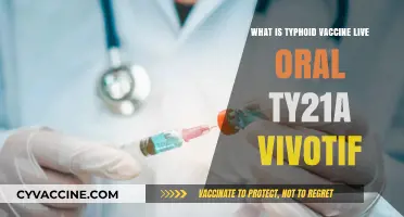 Understanding Typhoid Vaccine: Live Oral Ty21a Vivotif Explained