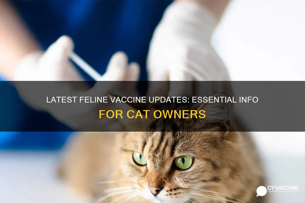 what is up to date on vaccines for cats
