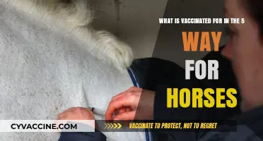 Essential 5-Way Horse Vaccinations: Protecting Equine Health and Well-Being
