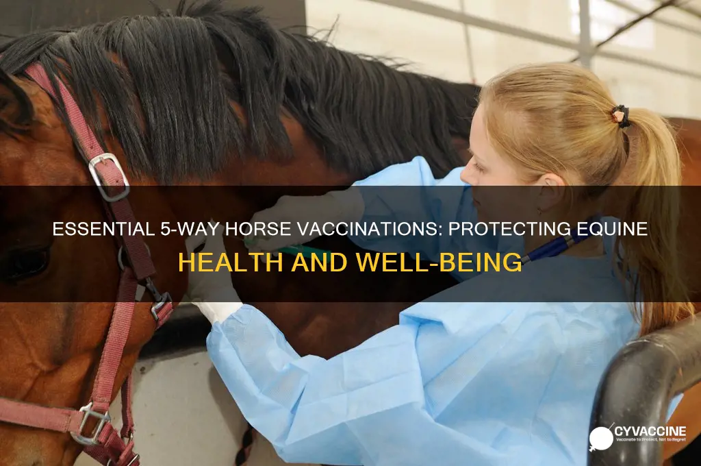 what is vaccinated for in the 5 way for horses