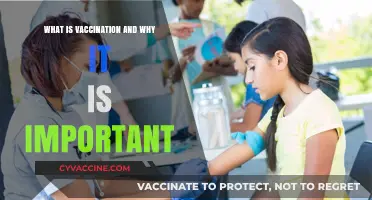 Understanding Vaccination: Its Importance and Role in Public Health