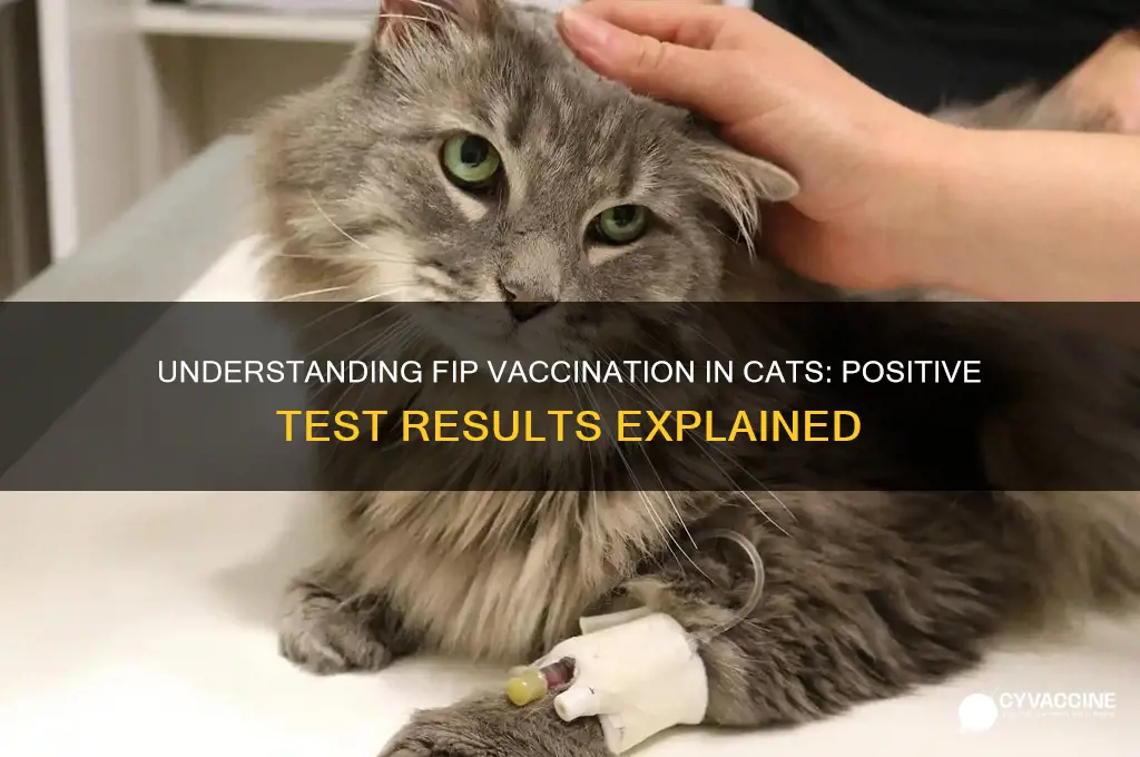 what is vaccination for cats fip read positive after