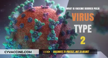 Understanding Vaccine-Derived Polio Virus Type 2: Causes and Risks