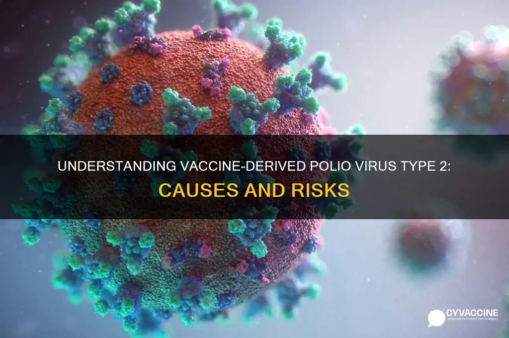 what is vaccine derived polio virus type 2