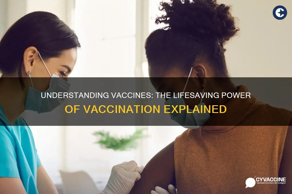 what is vaccine describe the importance of vaccination
