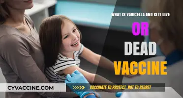Varicella Vaccine Explained: Live or Dead? Understanding Chickenpox Prevention