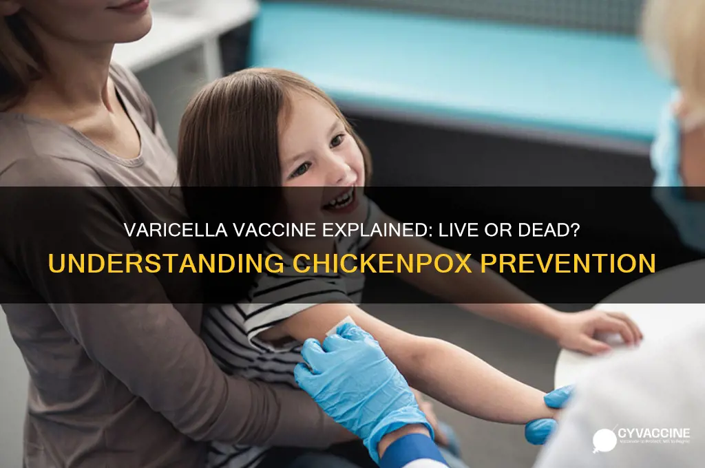 what is varicella and is it live or dead vaccine