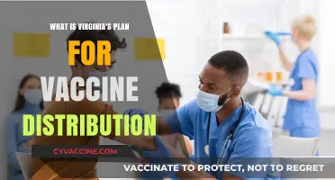 Virginia's COVID-19 Vaccine Rollout: Phases, Priorities, and Distribution Plan