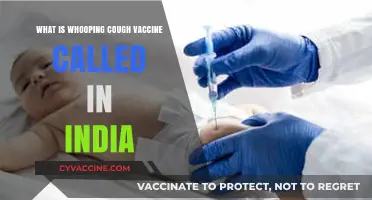 Understanding India's Whooping Cough Vaccine: Name, Availability, and Importance