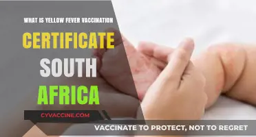 Understanding South Africa's Yellow Fever Vaccination Certificate Requirements