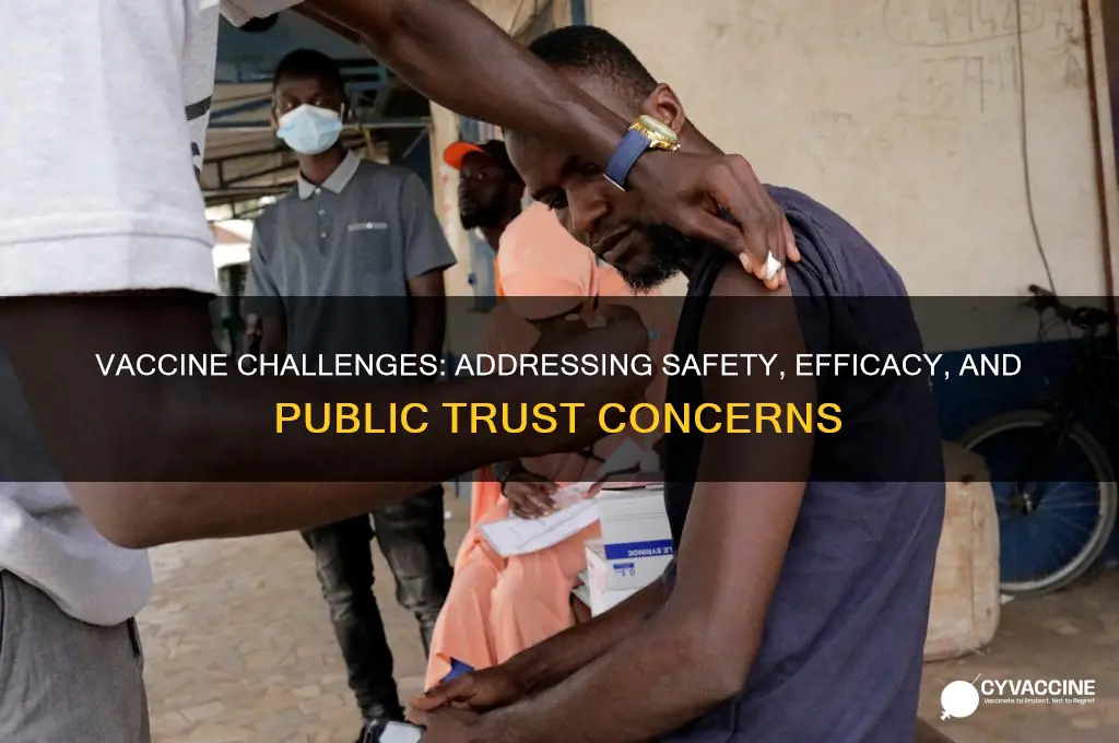 what issues do vaccines have that are important