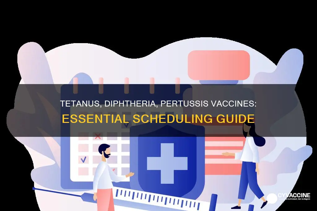 what isthe scheduale for tetanus diphtheria and pertussis vaccines