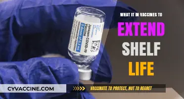 Unveiling Vaccine Preservatives: Extending Shelf Life and Ensuring Safety