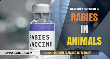 Understanding Rabies Vaccines: Types and Importance for Animal Health