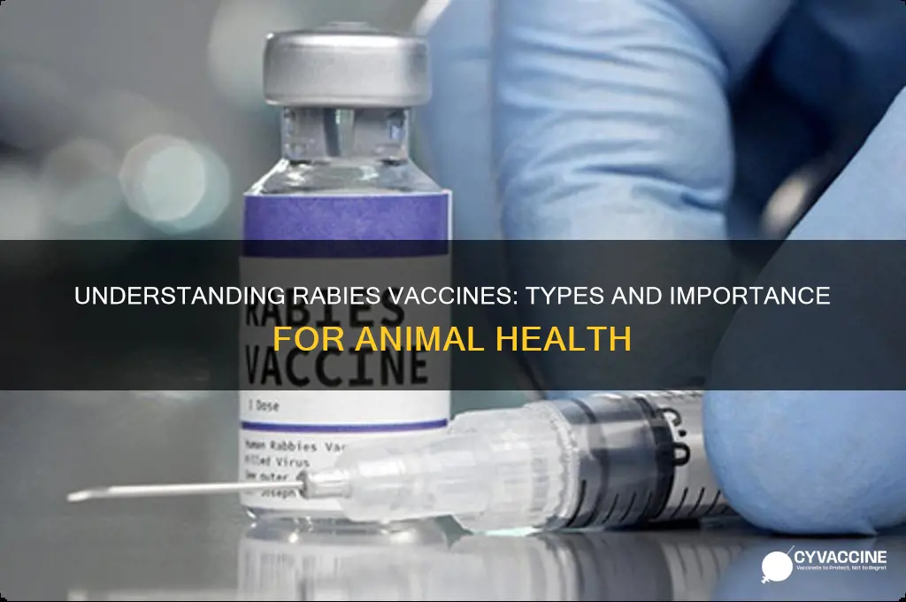 what kind of a vaccine is rabies in animals