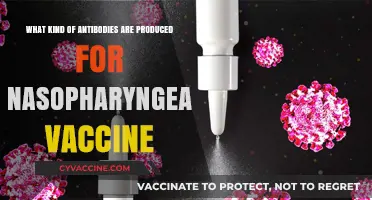 Nasopharyngeal Vaccine Antibodies: Types and Immune Response Explained
