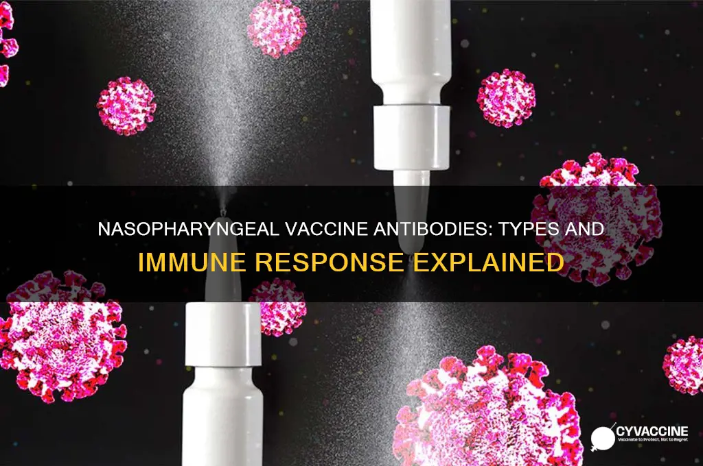 what kind of antibodies are produced for nasopharyngeal vaccine