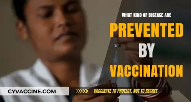 Vaccines Prevent Deadly Diseases: A Comprehensive Guide to Immunization