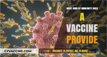 Understanding Vaccine-Induced Immunity: Types, Duration, and Protection Levels