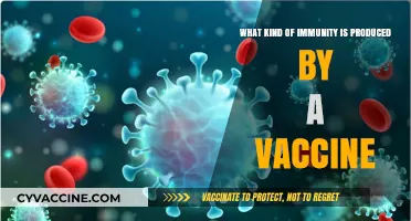 How Vaccines Trigger Long-Lasting Adaptive Immune Responses in the Body