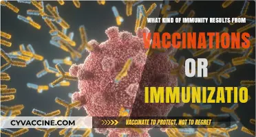 Vaccinations and Immunizations: Understanding the Types of Immunity They Provide
