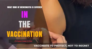 Vaccine-Preventable Meningitis Types: Understanding Covered Strains and Protection