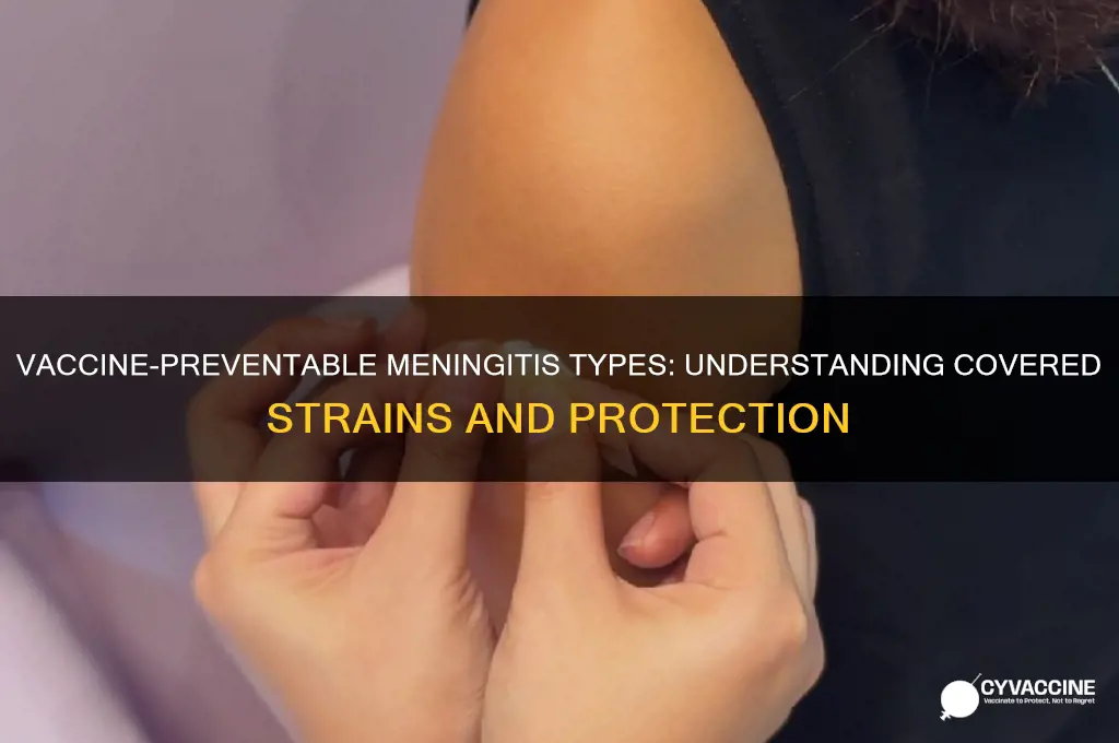 what kind of meneingitis is covered in the vaccination