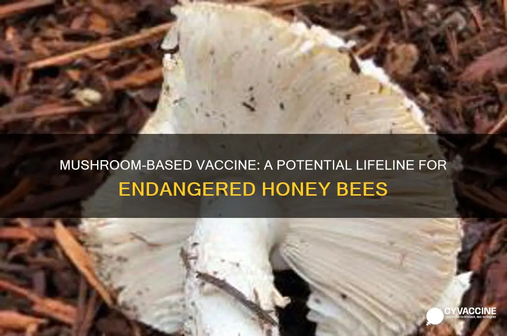 what kind of mushroom vaccine could save honey bees