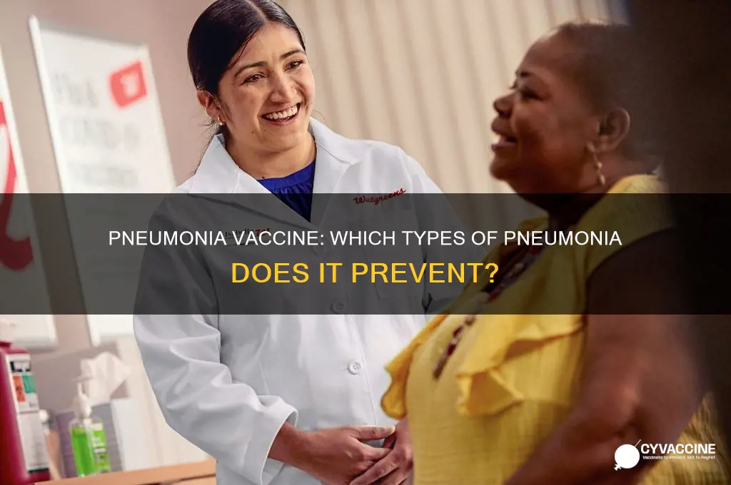 what kind of pneumonia does the pneumonia vaccine prevent