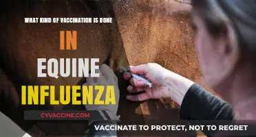 Understanding Equine Influenza Vaccination: Types and Essential Protection Measures