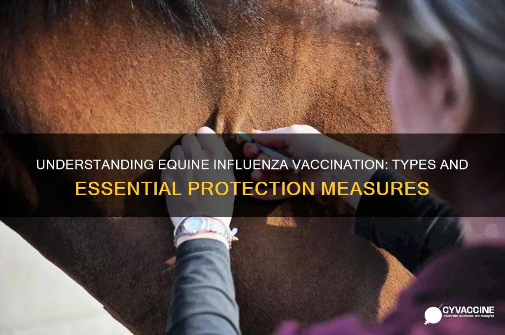 what kind of vaccination is done in equine influenza