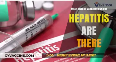Hepatitis Vaccinations: Types, Benefits, and Essential Protection Options