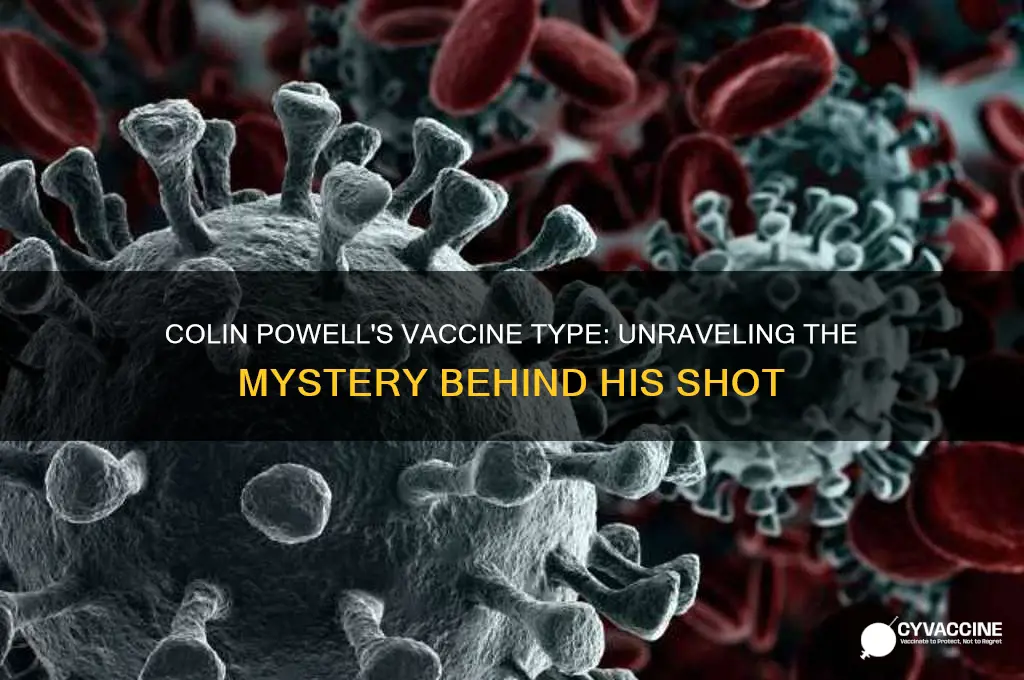 what kind of vaccine did colin powell have