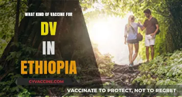 Understanding Dengue Vaccine Options and Availability in Ethiopia