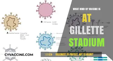 Gillette Stadium Vaccine Clinic: What Type of COVID-19 Vaccine is Offered?
