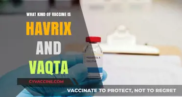 Havrix and Vaqta: Understanding Hepatitis A Vaccines and Their Uses