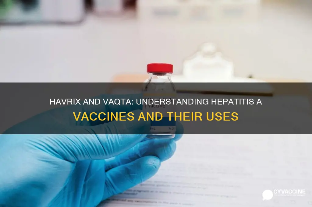 what kind of vaccine is havrix and vaqta