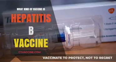 Understanding the Hepatitis B Vaccine: Type, Function, and Importance