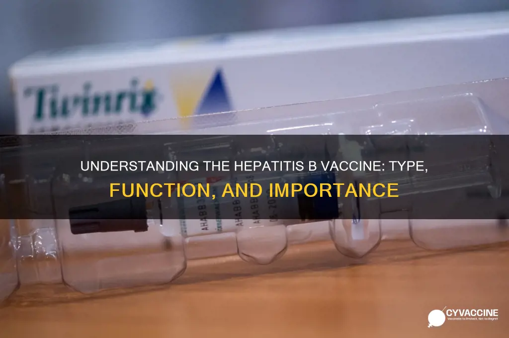what kind of vaccine is hepatitis b vaccine