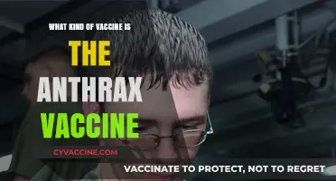 Understanding the Anthrax Vaccine: Type, Composition, and Protection