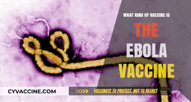 Understanding the Ebola Vaccine: Type, Mechanism, and Effectiveness Explained