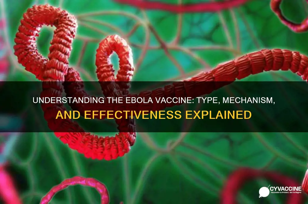 what kind of vaccine is the ebola vaccine