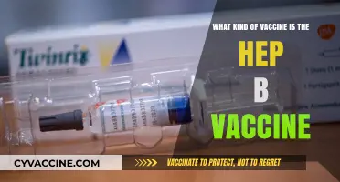 Understanding the Hepatitis B Vaccine: Type, Function, and Importance