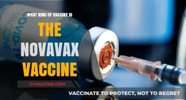 Understanding Novavax: A Protein-Based COVID-19 Vaccine Explained