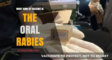 Understanding Oral Rabies Vaccines: Types, Benefits, and How They Work