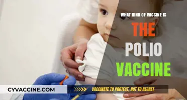 Understanding the Polio Vaccine: Type, Function, and Importance Explained