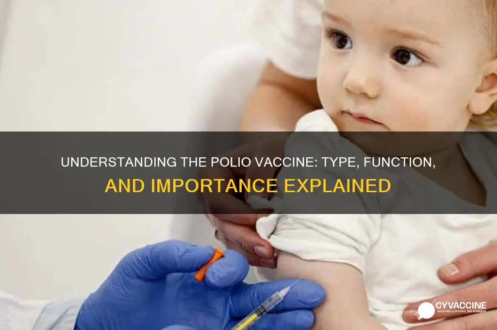what kind of vaccine is the polio vaccine