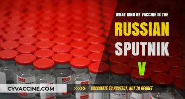 Understanding Russia's Sputnik V: A Unique COVID-19 Vaccine Explained