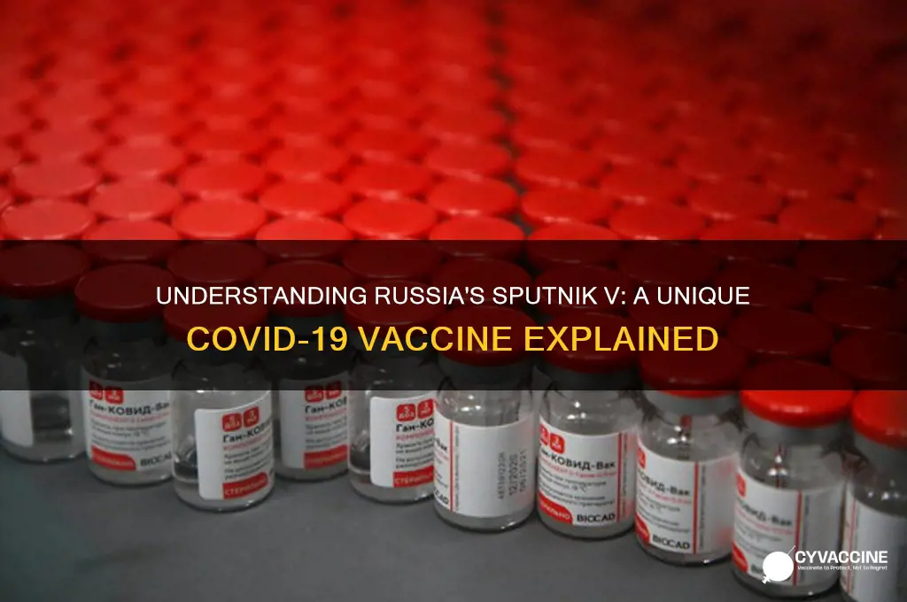 what kind of vaccine is the russian sputnik v