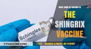 Understanding Shingrix: A Comprehensive Guide to the Shingles Vaccine
